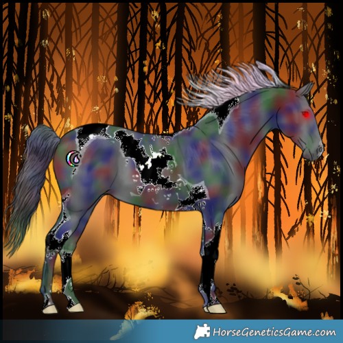 Horse Color:Nacre Black Tobiano 