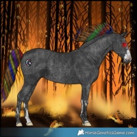 Horse Color:Painted Black 