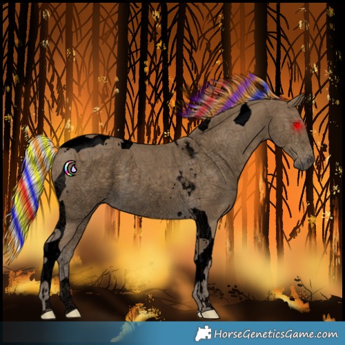 Horse Color:Void Painted Silver Smoky Black Tobiano