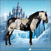 Horse Color:Void Painted Silver Smoky Black Ice Pearl Splash Tobiano 