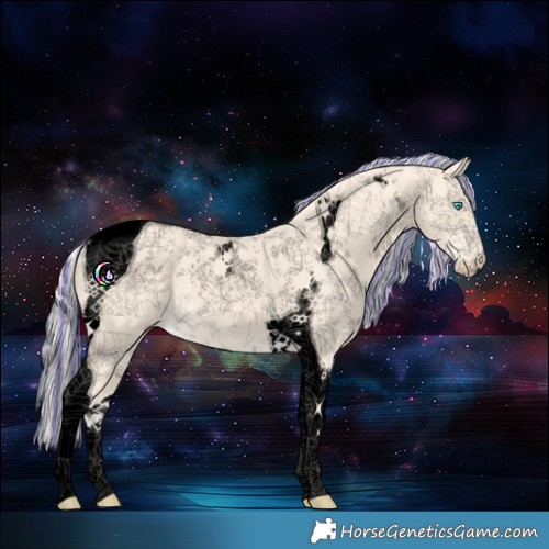Horse Color:Void Painted Cremello Tobiano 