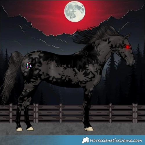 Horse Color:Void White Spotted Smoky Black Splash Tobiano 