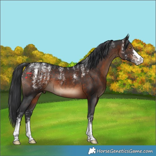 Horse Color:Powder White Brown 