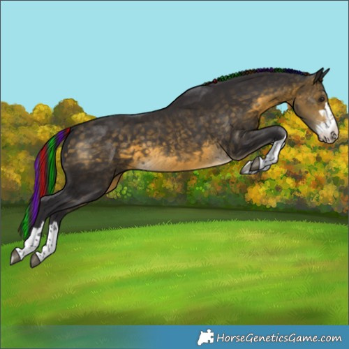 Horse Color:Painted Buckskin 