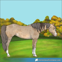 Horse Color:Sable Cream Champagne Merle 