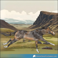 Horse Color:Buckskin Merle 