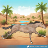Horse Color:Amber Champagne Merle 