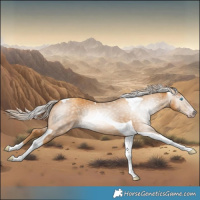 Horse Color:Gray Gold Cream Champagne Tobiano