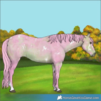 Horse Color:Watercolor White Spotted Bay Merle Tobiano