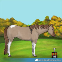Horse Color:Liver Red Dun Tobiano Rabicano 