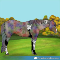 Horse Color:Nacre White Spotted Brown Merle Tobiano