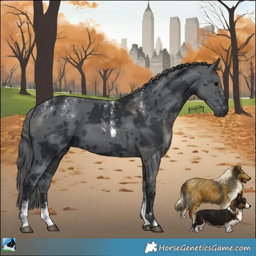 Horse Color:Powder White Black Merle 