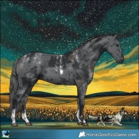 Horse Color:Powder White Black Merle 