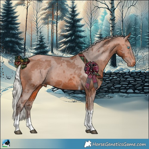 Horse Color:Silver Bay Merle Tobiano Appaloosa 