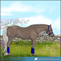 Horse Color:Silver Black Tobiano 