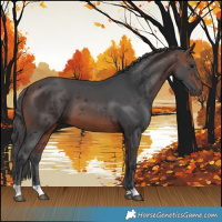Horse Color:Brown Merle 