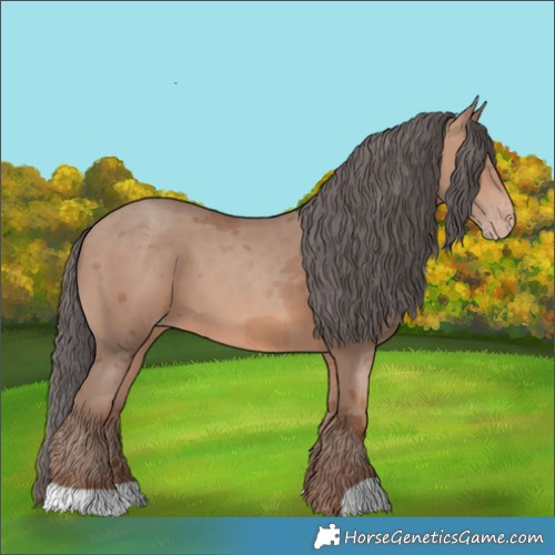 Horse Color:Sable Champagne Merle 