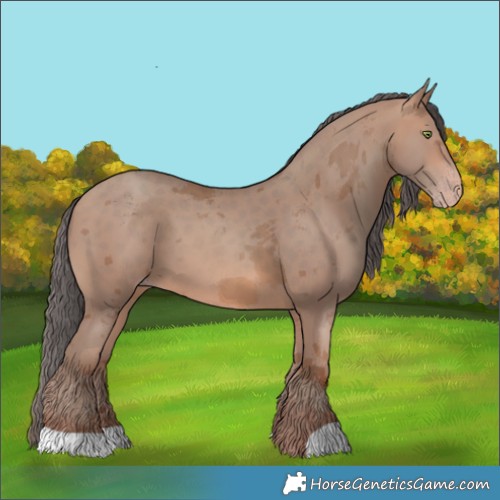 Horse Color:Sable Champagne Merle 