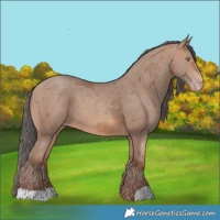Horse Color:Sable Champagne Merle 