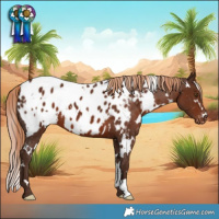 Horse Color:White Spotted Liver Chestnut Appaloosa 