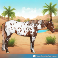 Horse Color:White Spotted Liver Chestnut Appaloosa 