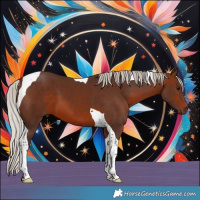 Horse Color:Silver Brown Tobiano 
