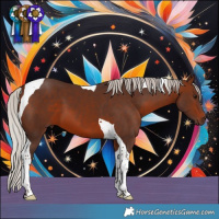 Horse Color:Silver Brown Tobiano