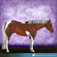 Horse Color:Silver Brown Tobiano 