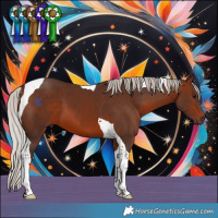 Horse Color:Silver Brown Tobiano