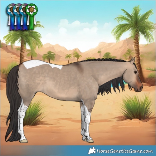 Horse Color:Bay Dun Tobiano 