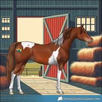 Horse Color:Chestnut Tobiano