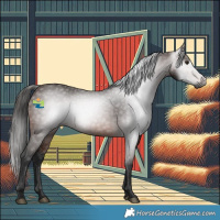 Horse Color:Gray Bay 