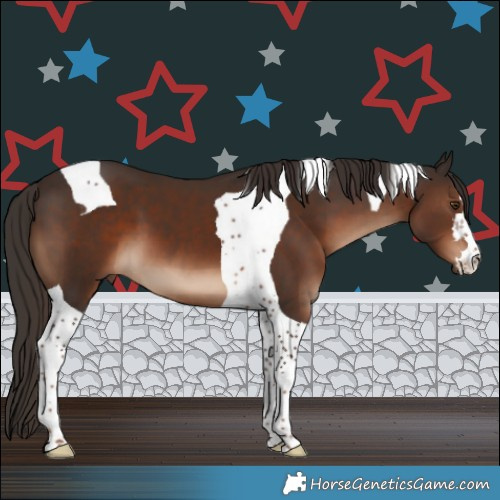 Horse Color:Liver Chestnut Tobiano 