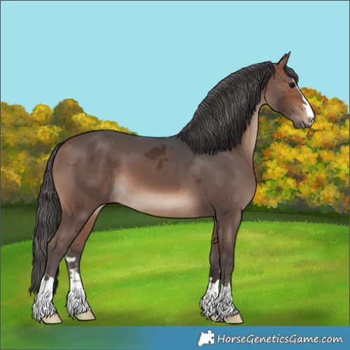Horse Color:Brown Merle 