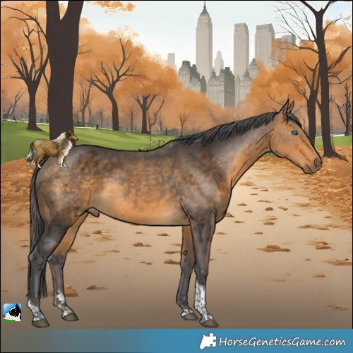 Horse Color:Buckskin Merle Tobiano 