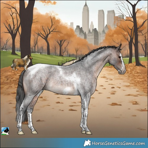 Horse Color:Brown Roan Merle Splash Tobiano Frame