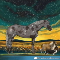 Horse Color:White Spotted Silver Brown Merle