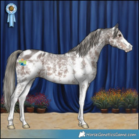 Horse Color:Liver Chestnut Mushroom Sabino Snowflake Varnish 