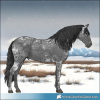 Horse Color:Black Ice 