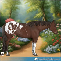 Horse Color:Liver Chestnut Tobiano Blanket Rabicano 