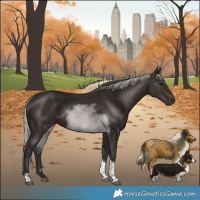 Horse Color:Silver Brown Tobiano 