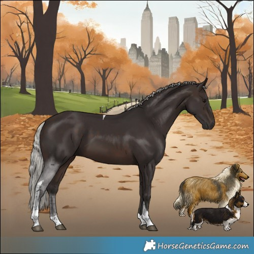 Horse Color:Silver Brown Tobiano 