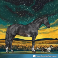 Horse Color:Brown Merle Tobiano 
