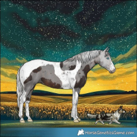 Horse Color:Silver Brown Merle Tobiano 