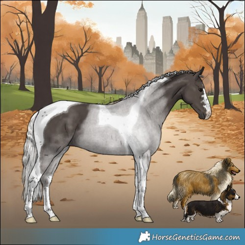 Horse Color:Silver Black Tobiano