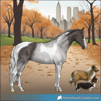 Horse Color:Silver Black Tobiano 