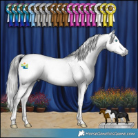Horse Color:Gray Blue Roan Splash Blanket  and Gray Black Splash 