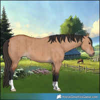 Horse Color:Bay Dun Brindle 