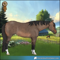 Horse Color:Bay Dun Brindle 