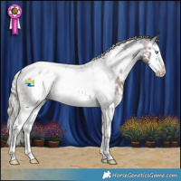 Horse Color:White Spotted Silver Brown Roan Splash Frame Appaloosa Rabicano 